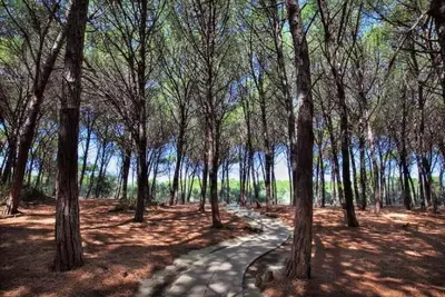 Appartamento - Pizzo Beach Club