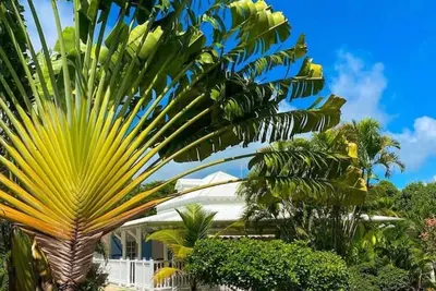 Image de Villa Ti’ Colibri – Villa créole avec piscine près de la plage