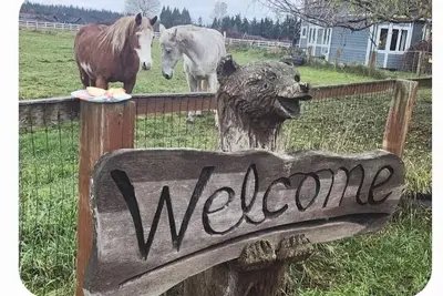 Image de Sunny Farm Stay • Horses & Chickens • On the Odt