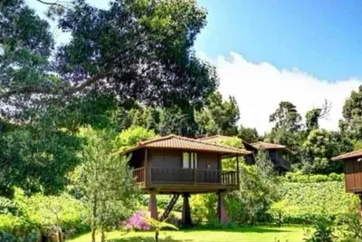 Quinta das Eiras Shelter 3