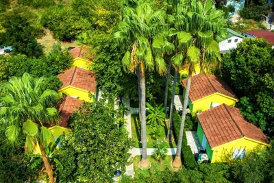 Image de Nirvana Apartments & Auto Camp - Studio Apartment With Terrace 5