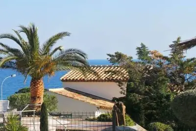 Image de Les tourterelles  3019