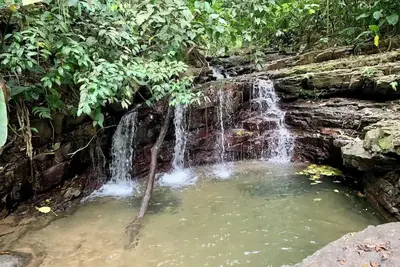 Image de 14a Rainforest view Villa, plus Studio Apartment.