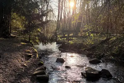 Image de Family forest estate with 1. 4 hectare plot in the Hohenstein recreation area