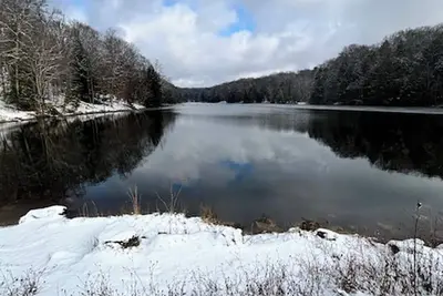 Image de Cozy Sports Lodge - Basketball, Pickleball, Kids Playroom