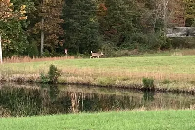 Image de 4-bedroom farmhouse on 32 acres of private land with fishing pond and creek.