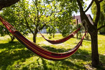 Image de Relaxation in Slavonia with sauna, nature and outdoor fun