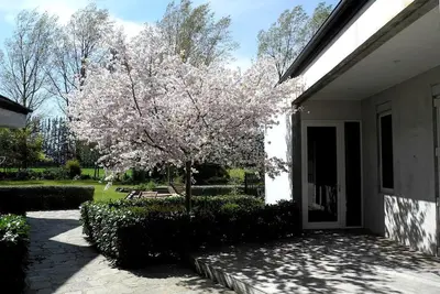 Image de Gorgeous Family-Friendly Getaway near Christchurch, South Island