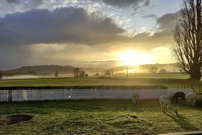Image de Peaceful Cottage with Idyllic Sunset Views in Cambridge, Waikato