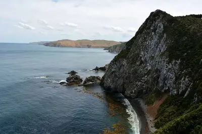 Image de Oceanside Vacation Rental in the Native Forest near Southland, South Island