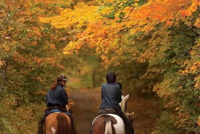Image de Book your 2026 stay with us and score a Free $100 gas gift card!