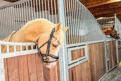 Image de Quietly located vacation villa for horse lovers