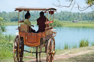 Image de Welpalla Herbal Garden – Entire Ayurvedic Resort