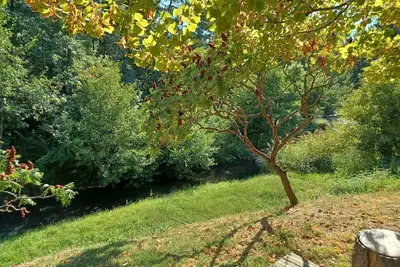 Image de Maison Drôme provençale avec piscine et rivière