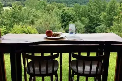 Image de Private Cabin Near Cooperstown All Star Village - 14 Acres, Views & Guest House