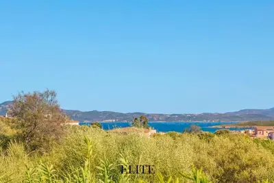 Image de Elite Collection- Domo Mea