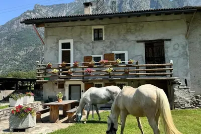 Image de Charming farmhouse in northern Italy - nature, tranquillity & real agriturismo feeling