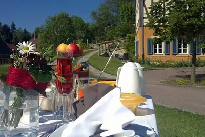 Image de Cat house apartment 3