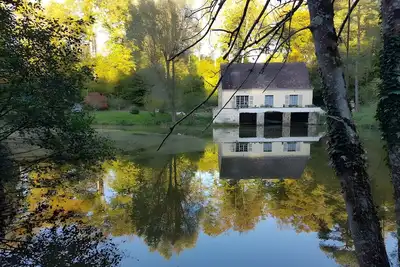 Image de Gîte Nid dans la forêt