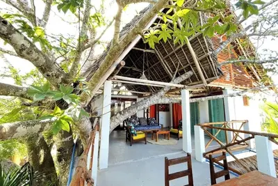A-Frame Baobab Treehouse with Terrace