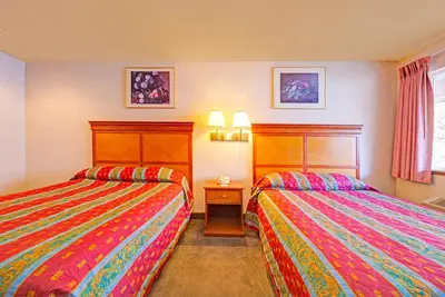 Image de Perfect for Hiking Adventures | 3 Affordable Units | Pets are Allowed