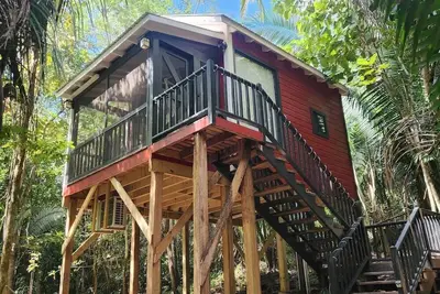 Image de Enchanted Jungle Treehouse