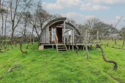 Image de Grape Escape, pet friendly, with a garden in Halesworth