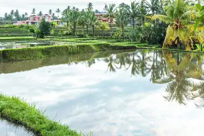 Image de Tanada Resort