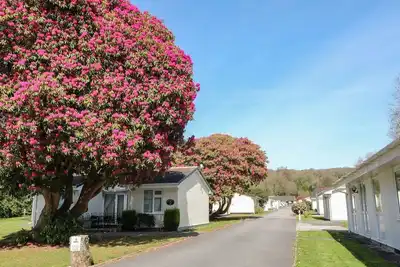 Willow Lodge, Liskeard