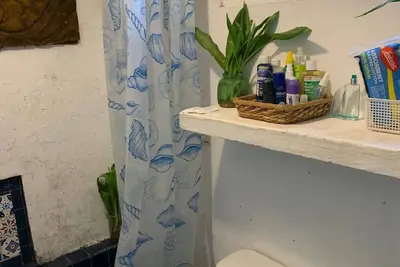 Image de Jungle Retreat, 3 Br & 2 Ba, Pool, Satellite Internet & Bicycles