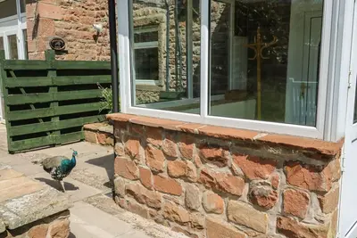 Charming Mousehole Cottage Retreat