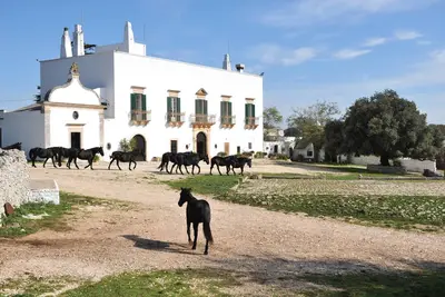 Image de Masseria Tagliente