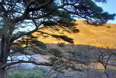 Image de Greenway Gem along the Wild Atlantic Way, near Achill Island/Scenic & Tranquil