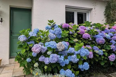 Image de Maison prés du golfe 5/6/personnes