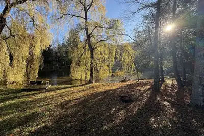 Image de Cozy Riverfront Escape -  Dog Friendly - Dunes, Lake Michigan, Crystal Mountain!