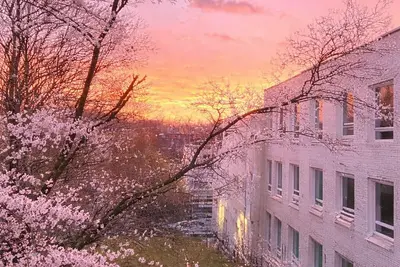 Image de Seattle' House of Rhythm & Light-Walk to Stadiums