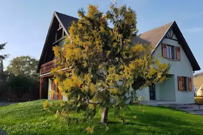 Image de Gîte la maison de caroline, spa, 8 personnes