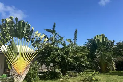 Image de Villa Voyageurs, 2 chambres et jardin d` Eden