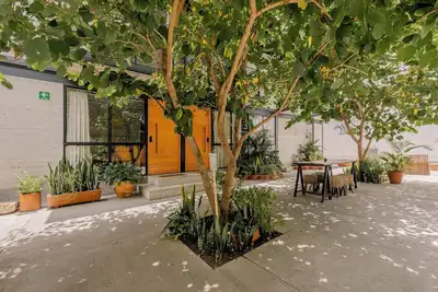 Image de Complejo Garcia · Apartment Complex with Greenery Steps to Zocalo