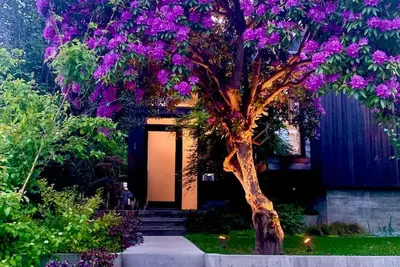 Image de Urban Oasis 3br, w/theater and spectacular outdoor living, minutes from Cap hill