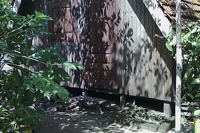 Image de Maison d'Hôtes Miotisoa Les Vanilliers