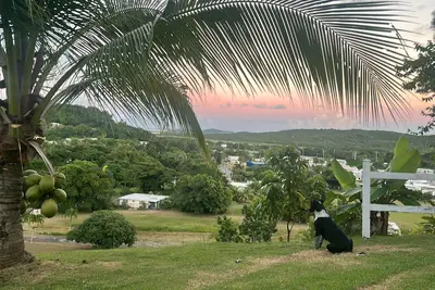 Image de Fruit Farm w Pool+Views - Nature Retreat Close to Beaches and Rainforest