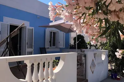 Image de White Oleander