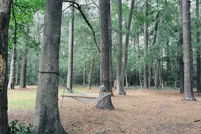 Image de Spacious home in the peaceful pines! \n15 minutes from coastal highway!