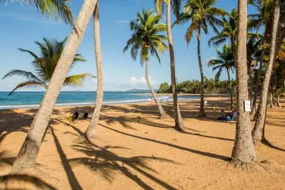 Image de Comfy Apartment in Luquillo