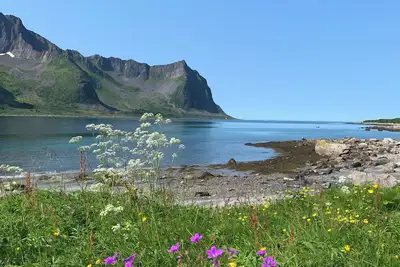 Image de Rural life on the rough coastline of Senja