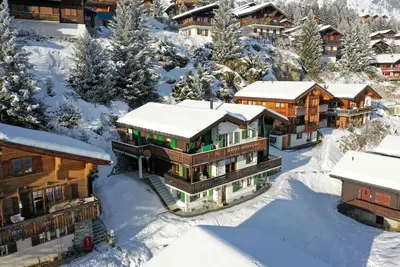 Image de In the summer of 2026, a ground-floor 3- and-a-half-room apartment in Chalet Abe