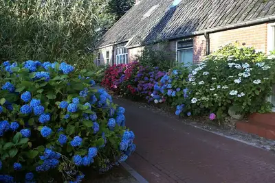Image de Merveilleuse maison de vacances pour 12 personnes avec Wifi, Tv et terrasse
