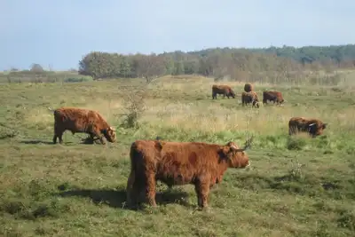 Image de Apartment 3 Geltinger Bucht - relaxation near the beach & nature