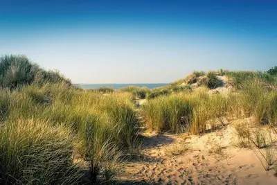 Image de New - coastal house - bookable from June 2026